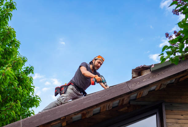Best Tile Roofing Installation  in Willow, AK