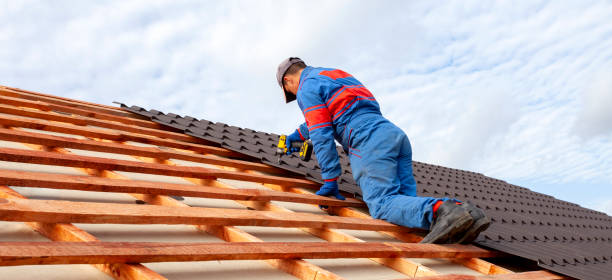 Best Roof Insulation Installation  in Willow, AK