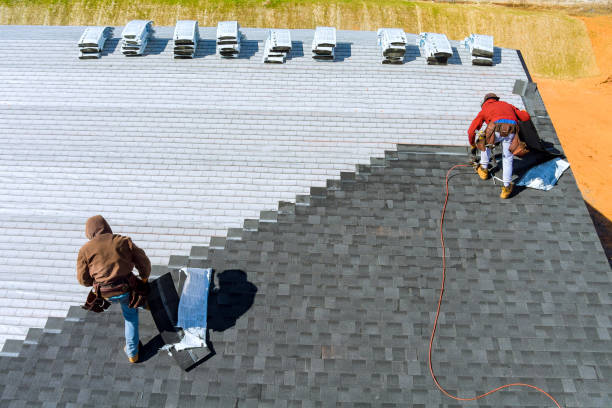 Best Roof Moss and Algae Removal  in Willow, AK